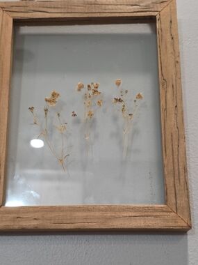 Pressed Dried Flower Wall Art in Wood Frame - Neutral Tones